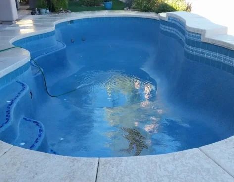 Residential swimming pool restored with a smooth blue interior finish